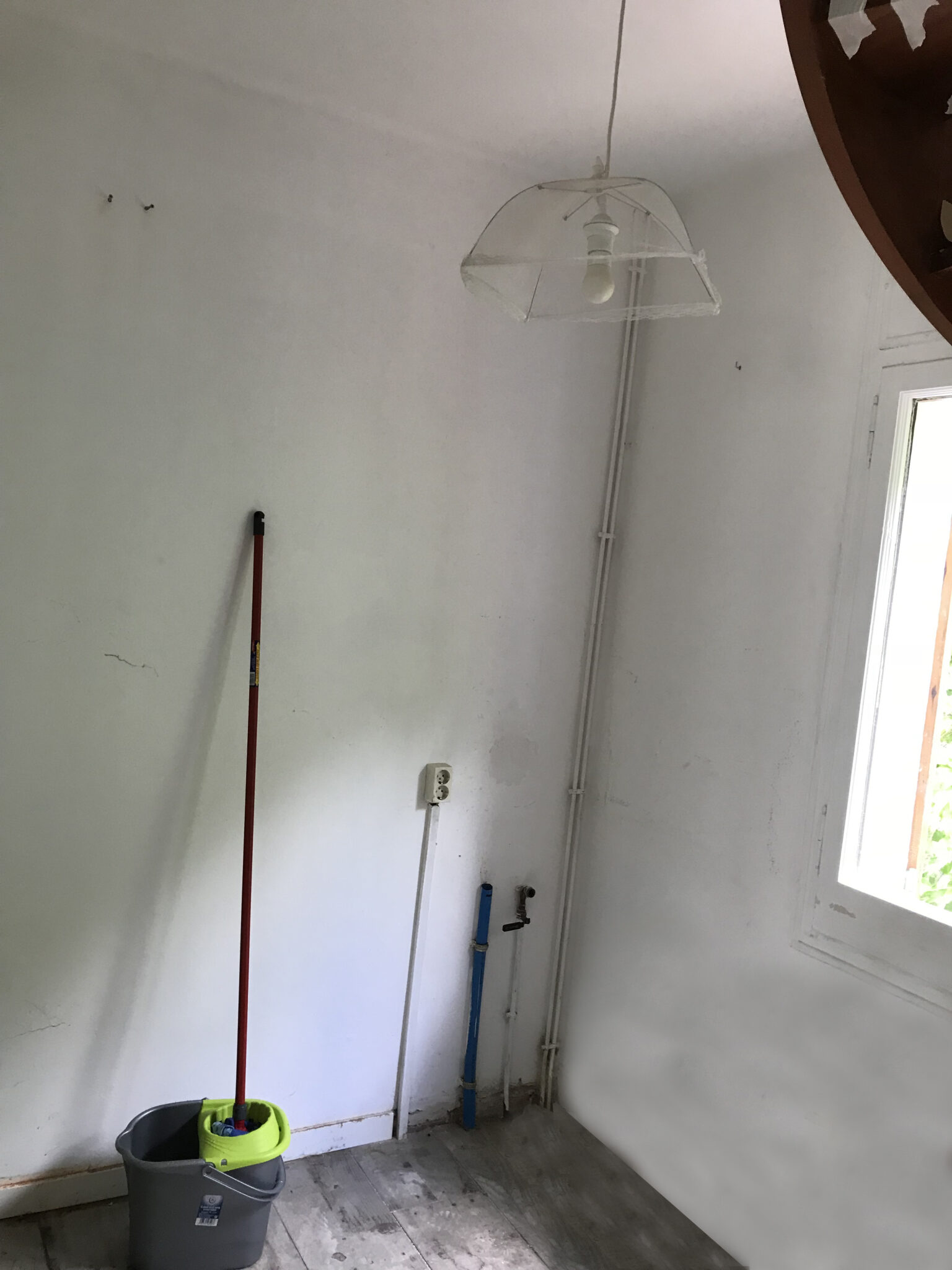 Estudio-Estado Original